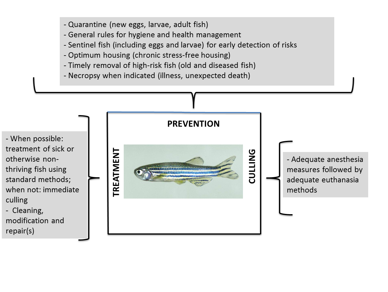 Schema preventie